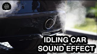 Idling Car Sound Effect [upl. by Einiar470]