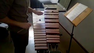 Porgy and Bess  Extremely fast xylophone excerpt [upl. by Borroff]