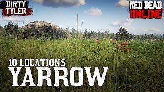 Yarrow RDR2 Locations for Daily Challenges Red Dead Online [upl. by Denbrook518]