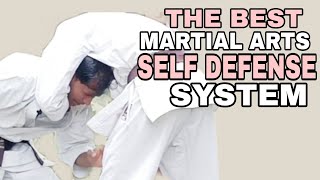 The Best Martial Arts  self defense System for all guys [upl. by Haggerty]