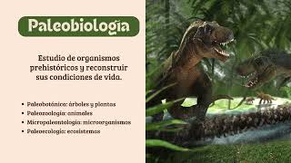 ¿Qué es la paleontología [upl. by Elinore]