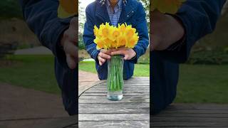 Easy Daffodil Flower Arrangement [upl. by Daisie700]