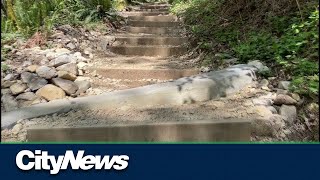 Vancouvers Grouse Grind trail opens [upl. by Collimore]