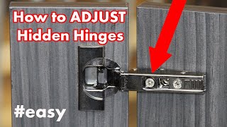 How to Adjust Kitchen Cabinet Hinges  DIY [upl. by Bluefarb]