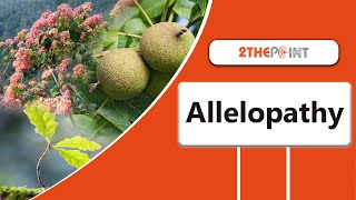 Allelopathy  Everything You Need To Know About it  2THEPOINT [upl. by Alage738]