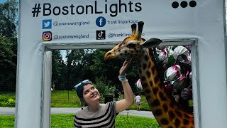 Visited Zoo in Boston🇺🇸 franklinzoopark 🦍🦁Alnylam family day [upl. by Rogerson]