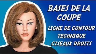 APPRENDRE A COUPER LES CHEVEUX ✂ COUPE AU CARRÉ BASIC [upl. by Thorvald824]