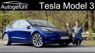 TESLA MODEL 3 Performance 2020 Detailed Review with Price at Sehgal Motorsports [upl. by Anny]