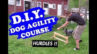 BUILT OUR OWN DOG AGILITY COURSE  AUSTRALIAN CATTLE DOG [upl. by Oeram]