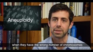 Relationship between incorrect chromosome number and cancer is reassessed [upl. by Scharaga511]