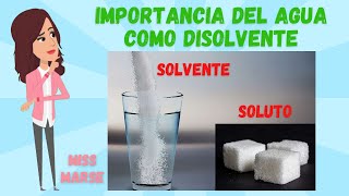 IMPORTANCIA DEL AGUA COMO DISOLVENTE [upl. by Znerol]