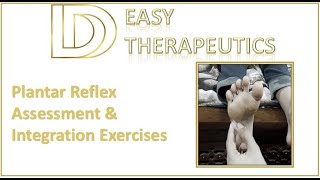 Plantar Reflex Assessment amp Integration Exercises  Primitive Reflexes  What is Babinski Sign [upl. by Eidaj966]