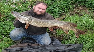 Deadbait Fishing For Pike  Simple Float Rig [upl. by Izzy]