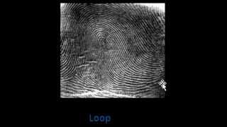 Fingerprint Types [upl. by Dionis]