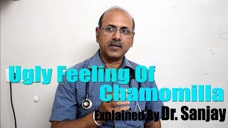 Ugly feeling of Chamomilla Explained Dr Sanjay HINDI [upl. by Lhary]