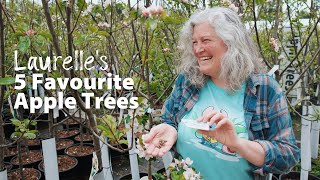 5 Apple Trees To Grow In The Fraser Valley  Apple Tree Varieties  Mason Bee Pollination [upl. by Bussey]