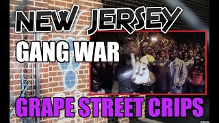 Newark Gang War  Grape Street Crips  The Story Of C Blaze Corey Hamlet  New Jersey Indictment [upl. by Holt]