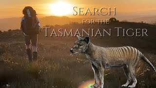 Does the Tasmanian Tiger Thylacine still exist at the Spero River Tasmania [upl. by Nehtanhoj]