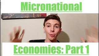 Micronational Economics  Part 1  Why Micronations Need Economies [upl. by Beichner801]