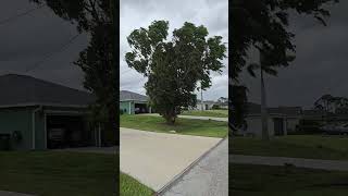 Hurricane Helene in Cape CoralFL hurricane weather viralshort shortsfeed [upl. by Tarkany]