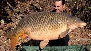 American carp record USA at 54lb 8oz 247 kg  Raphaël Biagini [upl. by Lalaj]