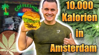 C4NNABIS konsumieren und dann FRESSFLASH 10000 Kalorien in 24h in AMSTERDAM Selbstexperiment [upl. by Rehpotsrik]