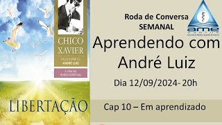 Aprendendo com André Luiz  Libertação  Cap 10 [upl. by Enotna735]