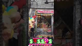 9102024 SRI BANKEY BIHARI JI SPECIAL LIVE AARTI DARSHAN S🌹S VRINDAVAN PYARO VRINDAVAN [upl. by Hoebart]