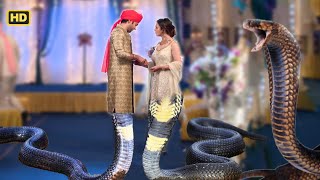 क्या हो पायेगी Naagin और Naag Babbal की सगाई   EP 134  Icchapyaari Naagin  Naagin2024 [upl. by Krueger292]