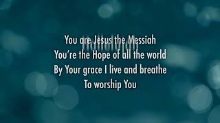 Darlene Zschech  Victors Crown Official Lyric Video [upl. by Otanod367]