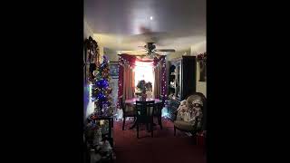 🎄🕊️A tour of my Christmas decorations 2023🕊️🎄 [upl. by Chesney]