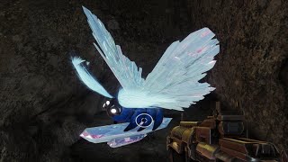 Reports of a unique Lucent Moth in the Florescent Canal  Lepidopterist  Destiny 2 [upl. by Reivaj]