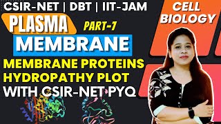 Plasma membrane VII Membrane Proteins Structure and Function  Hydropathy Plot [upl. by Munson20]