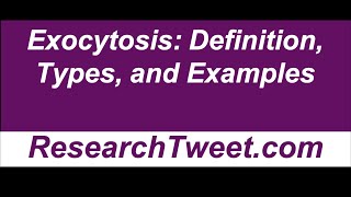 Exocytosis Definition Types and Examples [upl. by Culliton117]