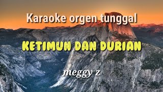 KETIMUN DAN DURIAN  MEGGY Z  KARAOKE ORGEN TUNGGAL [upl. by Marilyn683]