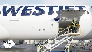 WestJet 787 team trip to Boeing Delivery Center [upl. by Ahtis831]