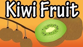 Health Benefits of Kiwi Fruit What Is Kiwi Fruit Nutrition Of Kiwi Fruit [upl. by Steddman]