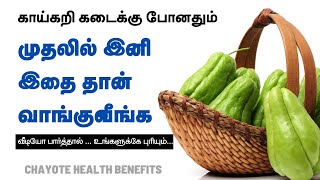 Chow Chow Health Benefits  Chayote  24 Tamil Health [upl. by Winters]