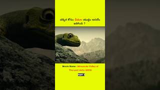 Part 3 చక్కర కోసం చీమల యుద్ధం  shorts youtubeshorts ln [upl. by Kissiah]