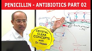 Penicillin  Antibiotics  Dr Najeeb  Part 24 [upl. by Etnaid]