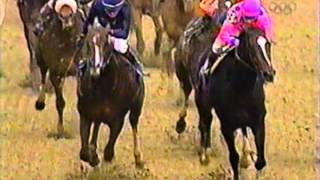 2000 Breeders Cup Classic  Tiznow  Post Race amp Interviews [upl. by Nonad]