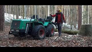 Forstarbeiten 2021Holzrücken und Baum fällen mit der Seilwinde [upl. by Elatsyrk]