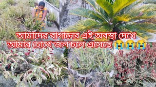 Amader baganer ai obosta dekha amr chukhe jol chola asheche myflowers garderningtips vlog day01 [upl. by Onairot]