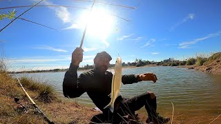 Pesca del PEJERREY quotPesca y cocinaquot En hermosa laguna PESCA URBANA hoy [upl. by Ahsiyn]