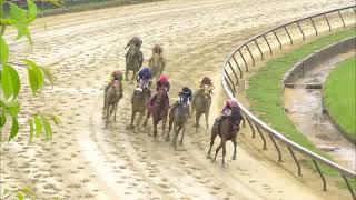 The Preakness Stakes 2024 FULL RACE  NBC Sports [upl. by Whitten]