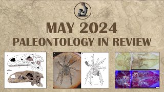 May 2024 Paleontology in Review [upl. by Nerahs]