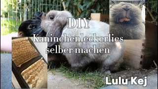 DIY Kaninchenleckerlies selber machen🩷🐰 Lulu Kej kaninchen artgerechtehaltung selbergemacht [upl. by Ytisahc]