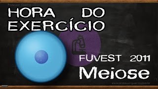 Meiose  FUVEST 2011 [upl. by Rentsch]