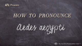 How to Pronounce Aedes Aegypti Real Life Examples [upl. by Eidac]