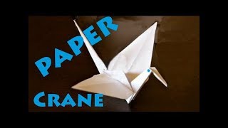 How to Make a Paper Crane Origami  Robs World [upl. by Ettenwad]